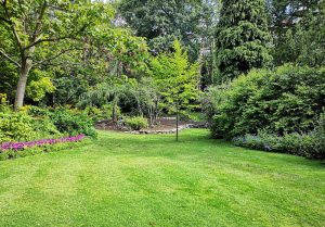 Optimiser l'expérience du jardin à Epinay-Champlatreux